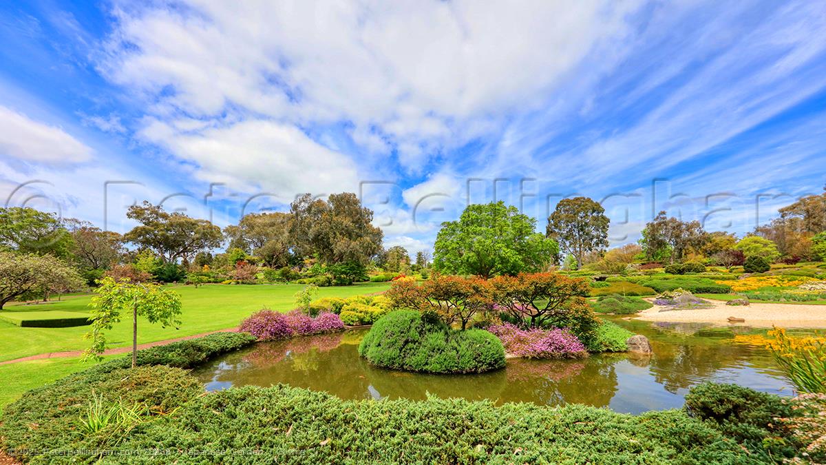 Peter Bellingham Photography Japanese Garden - Cowra